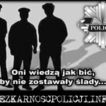 Wlepka